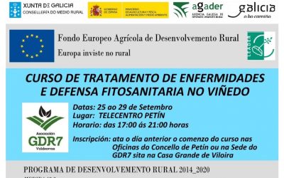 Curso de tratamento de enfermidades e defensa fitosanitaria no viñedo