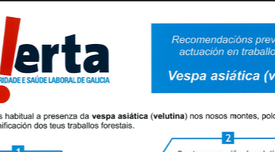 RECOMENDACIÓNS PREVENTIVAS DE ACTUACIÓN EN TRABALLOS FORESTAIS. VESPA ASIÁTICA (VELUTINA)