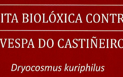 LOITA BIOLÓXICA CONTRA A AVESPA DO CASTIÑEIRO