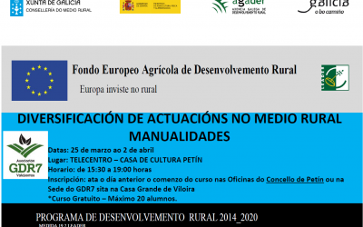 CURSO: DIVERSIFICACIÓN DE ACTUACIÓNS NO MEDIO RURAL. MANUALIDADES